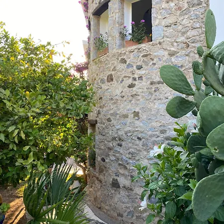 Hotel Tokur