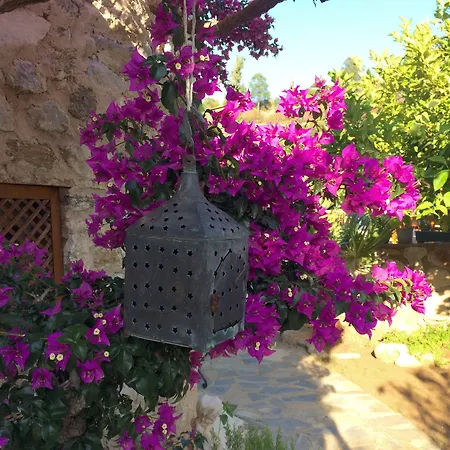 Otel Tokur Datça