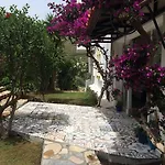 Tokur 3* داتْشا