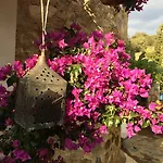فندق Tokur داتْشا