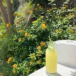 Hotel Tokur