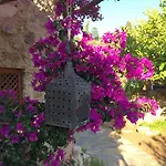 فندق Tokur داتْشا